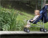 Guía para prevenir el contagio de dengue 