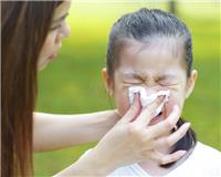 Alergias respiratorias: cómo prevenirlas