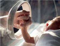 La alimentación del bebé prematuro durante la internación