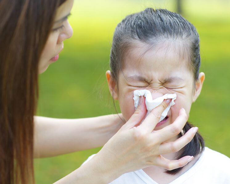 Alergias respiratorias: cómo prevenirlas