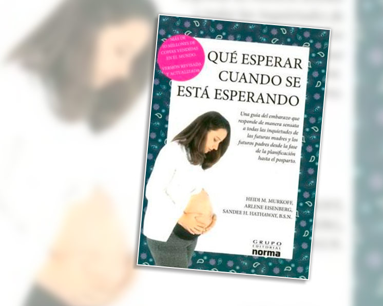 O Que Esperar Quando Você Está Esperando (Em Portuguese do Brasil) - Arlene  Eisenberg: 9788501035202 - IberLibro